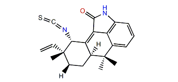 Anhydrohapaloxindole M